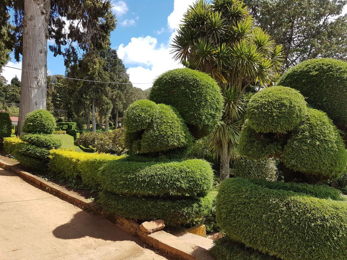 Kstdc Hotel Mayura Sudarshan ,Ooty Exterior photo